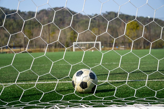 剧了球队的 剧了球队的