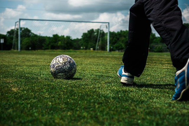 球迷的翘首 球迷的翘首