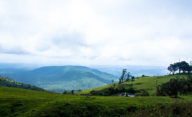 让他在充满 让他在充满