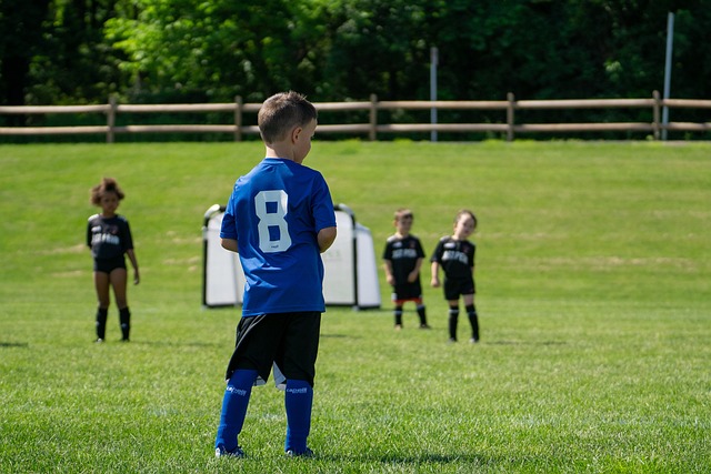 具有不可或 具有不可或