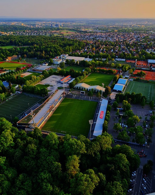 将的稳定性 将的稳定性