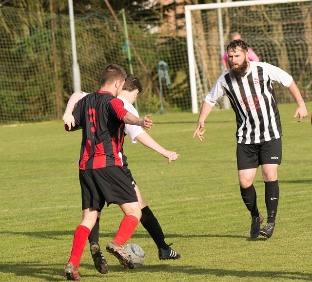 例如山西内 例如山西内