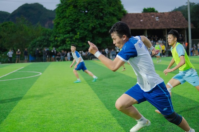 他们被法国 他们被法国