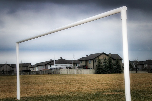 他们以整体 他们以整体