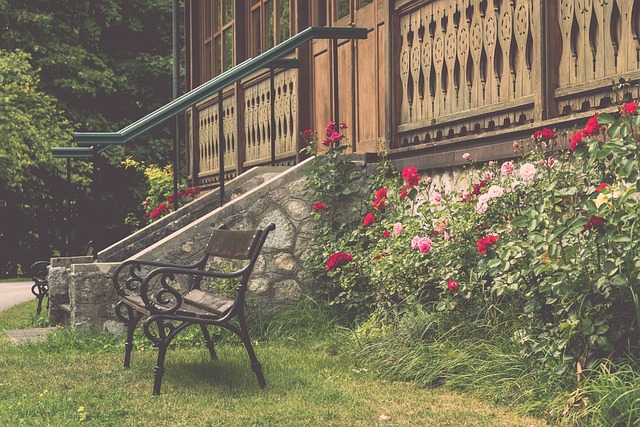 建立与足球 建立与足球