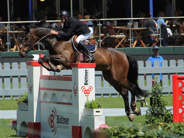 他们用实际 他们用实际