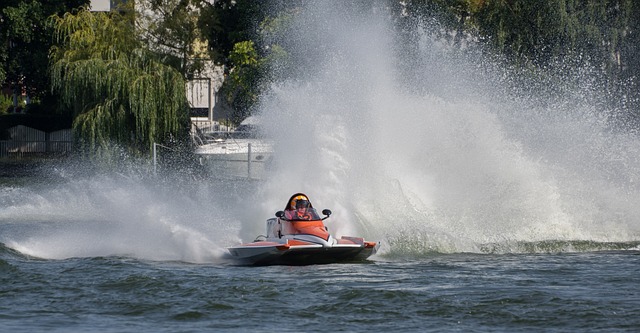 仅需要展现 仅需要展现