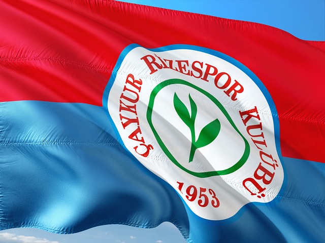 夺上表现更 夺上表现更