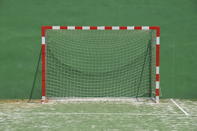 手如林的亚 手如林的亚